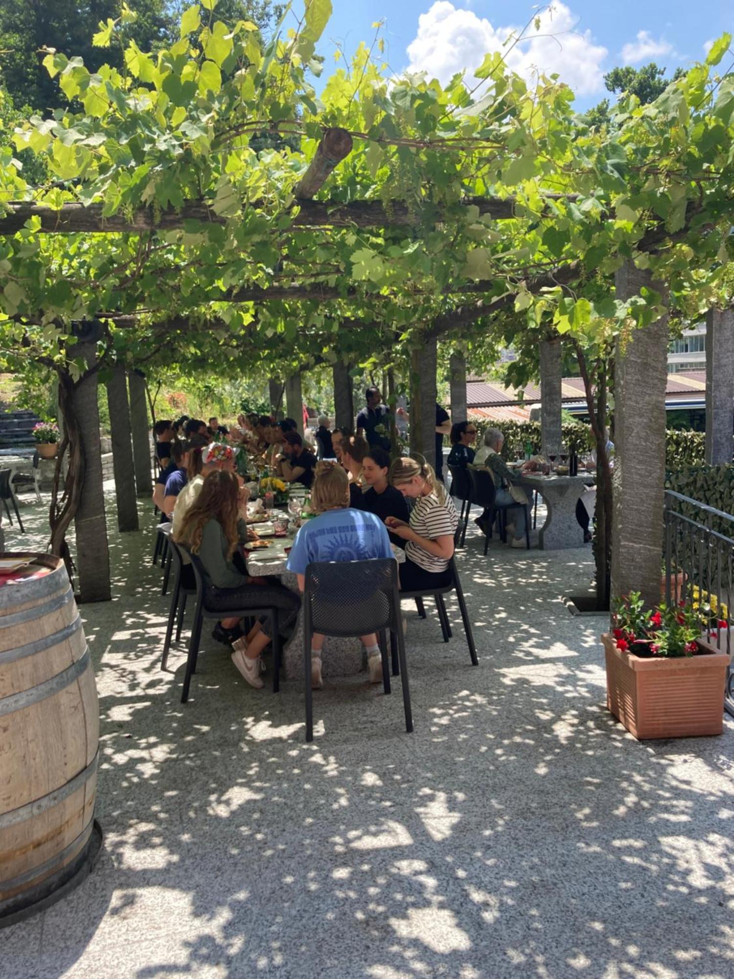 Hotel Ristorante Grotto Serta Lamone Eksteriør billede